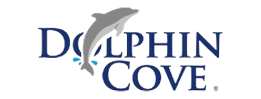 Dolphin Cove Jamaica